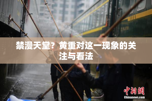 禁漫天堂？黄重对这一现象的关注与看法
