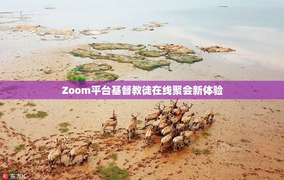 Zoom平台基督教徒在线聚会新体验