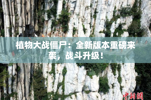 植物大战僵尸：全新版本重磅来袭，战斗升级！