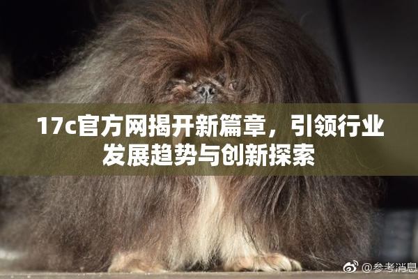 17c官方网揭开新篇章，引领行业发展趋势与创新探索