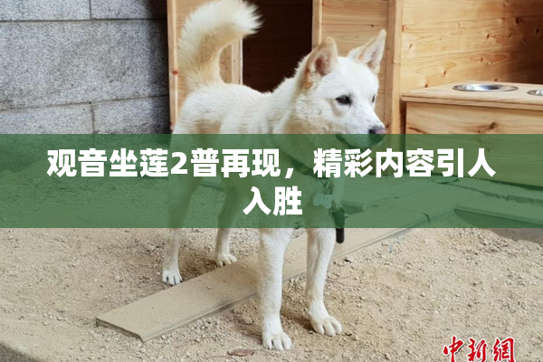 观音坐莲2普再现，精彩内容引人入胜