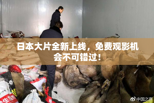 日本大片全新上线，免费观影机会不可错过！