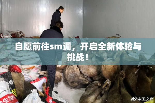 自愿前往sm调，开启全新体验与挑战！