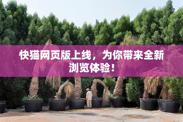 快猫网页版上线，为你带来全新浏览体验！