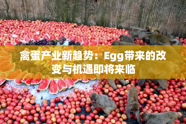 禽蛋产业新趋势：Egg带来的改变与机遇即将来临