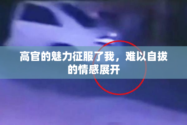 高官的魅力征服了我，难以自拔的情感展开