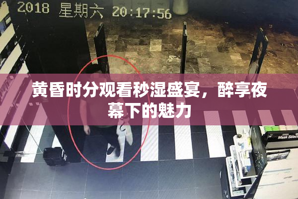 黄昏时分观看秒湿盛宴，醉享夜幕下的魅力