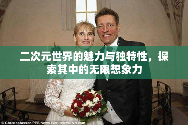 二次元世界的魅力与独特性，探索其中的无限想象力