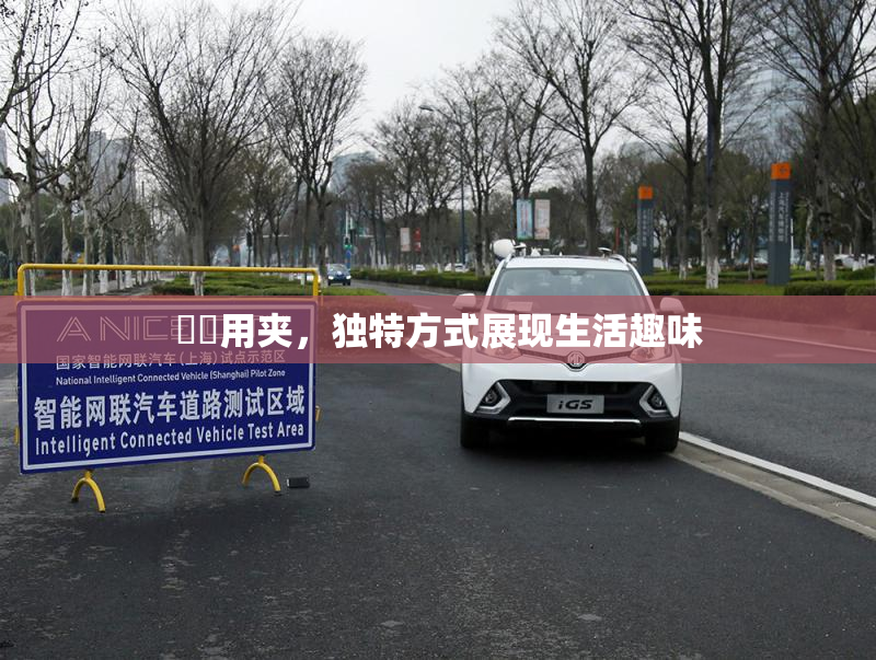 妺妺用夹，独特方式展现生活趣味