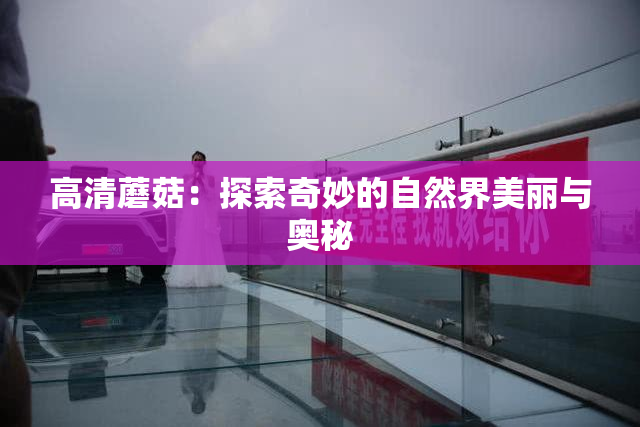 高清蘑菇：探索奇妙的自然界美丽与奥秘