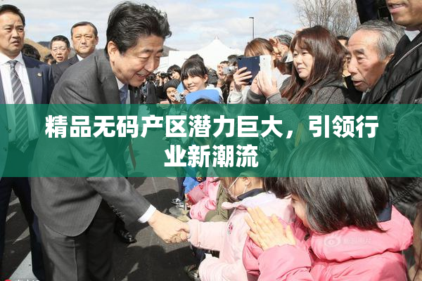 精品无码产区潜力巨大，引领行业新潮流