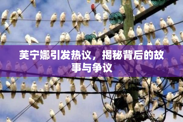 芙宁娜引发热议，揭秘背后的故事与争议