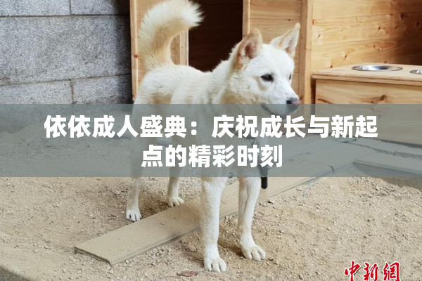 依依成人盛典：庆祝成长与新起点的精彩时刻