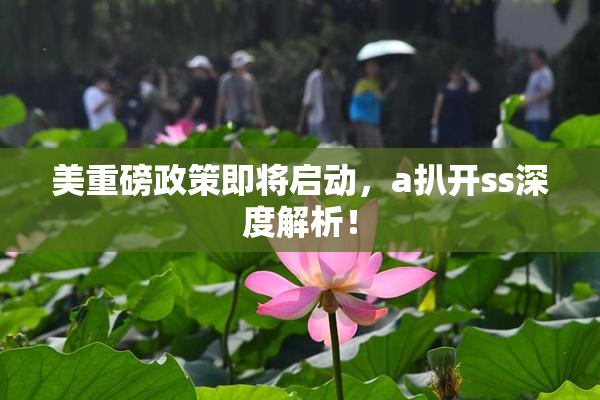 美重磅政策即将启动，a扒开ss深度解析！