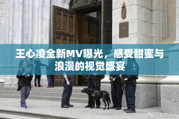 王心凌全新MV曝光，感受甜蜜与浪漫的视觉盛宴