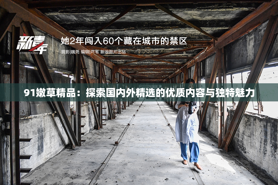 91嫩草精品：探索国内外精选的优质内容与独特魅力