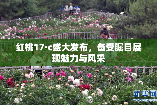 红桃17·c盛大发布，备受瞩目展现魅力与风采