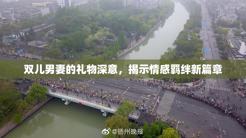 双儿男妻的礼物深意，揭示情感羁绊新篇章