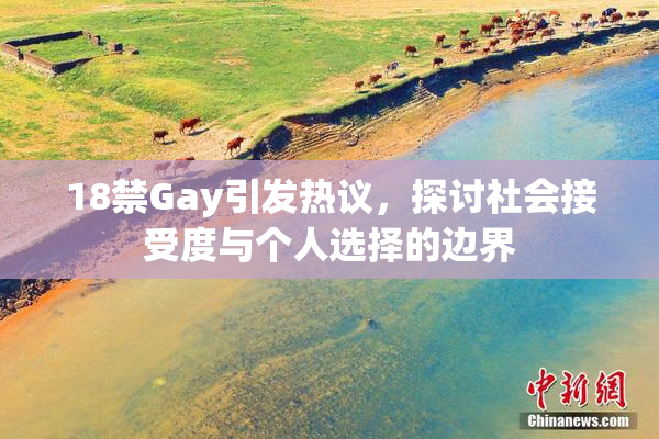 18禁Gay引发热议，探讨社会接受度与个人选择的边界