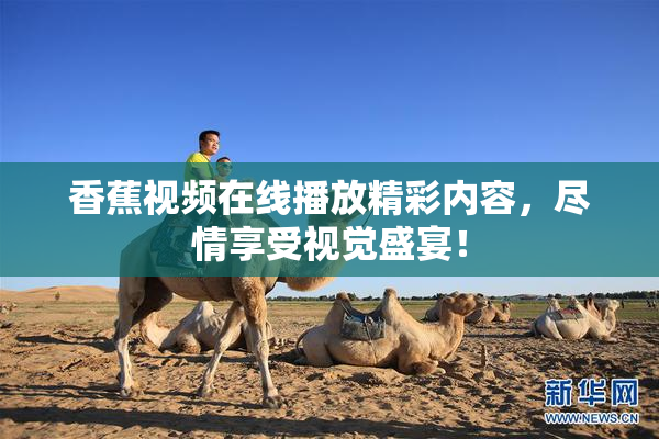 香蕉视频在线播放精彩内容，尽情享受视觉盛宴！