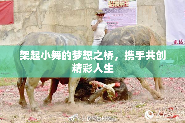架起小舞的梦想之桥，携手共创精彩人生