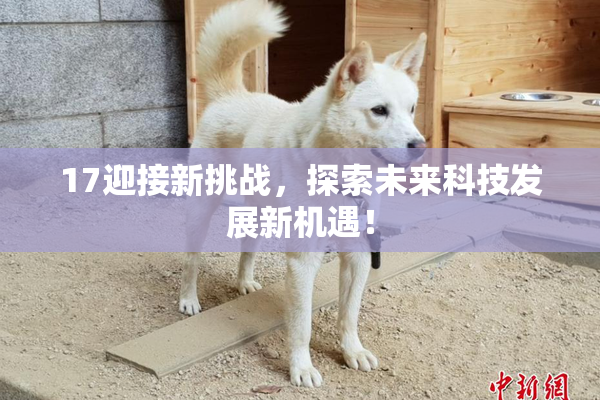 17迎接新挑战，探索未来科技发展新机遇！
