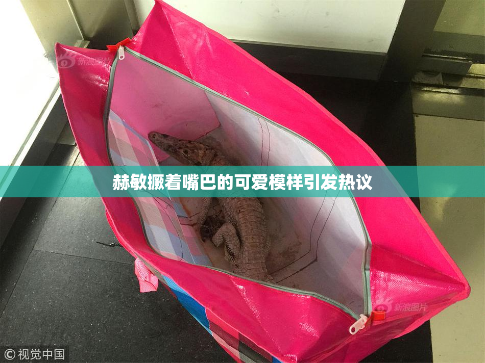 赫敏撅着嘴巴的可爱模样引发热议