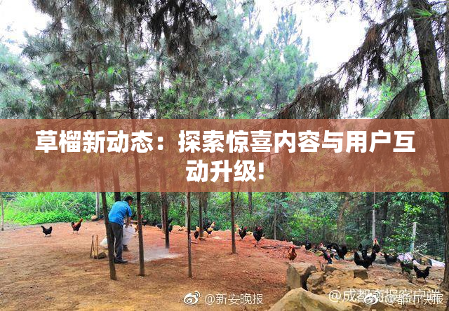 草榴新动态：探索惊喜内容与用户互动升级!