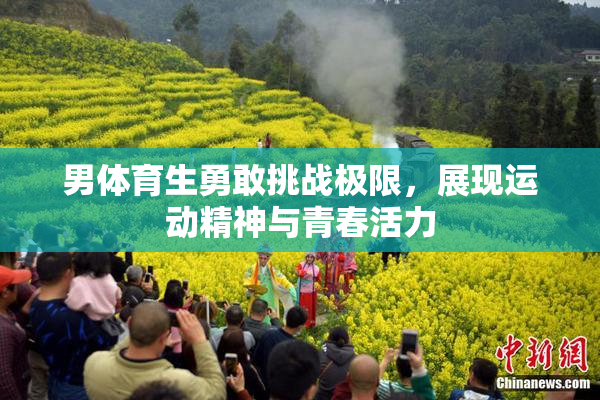 男体育生勇敢挑战极限，展现运动精神与青春活力