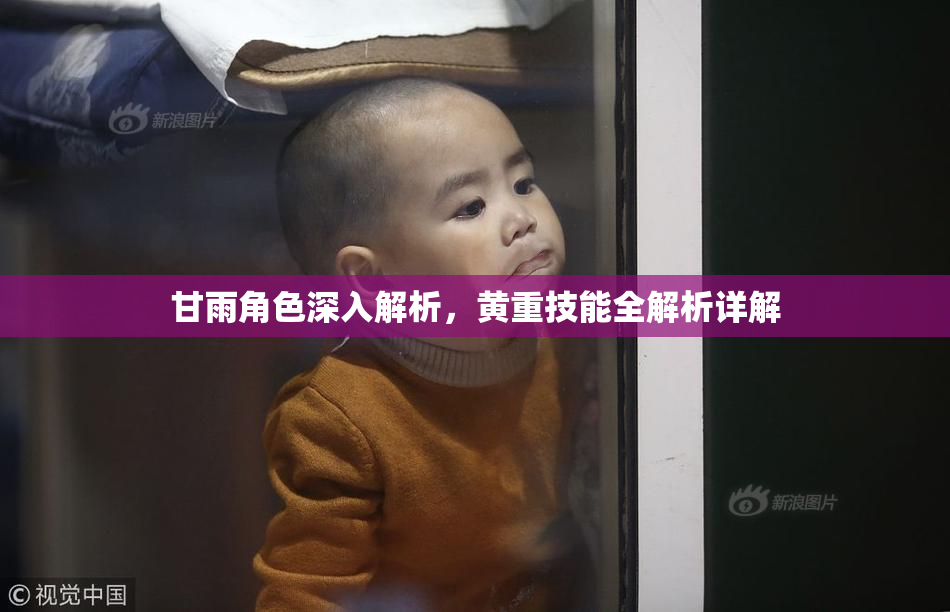 甘雨角色深入解析，黄重技能全解析详解
