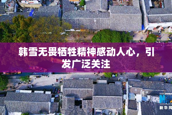 韩雪无畏牺牲精神感动人心，引发广泛关注