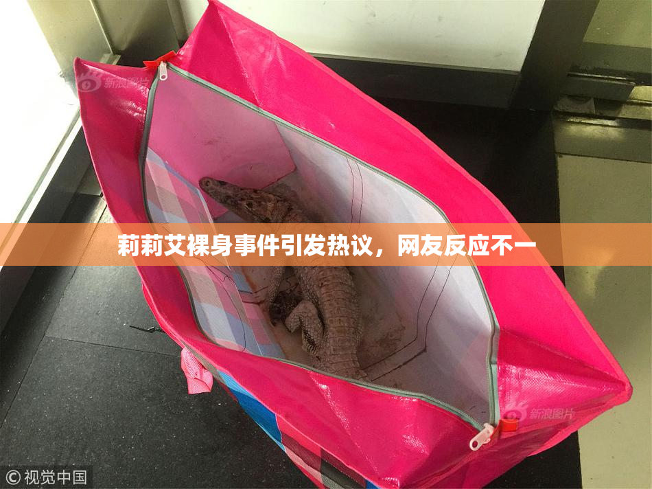 莉莉艾裸身事件引发热议，网友反应不一