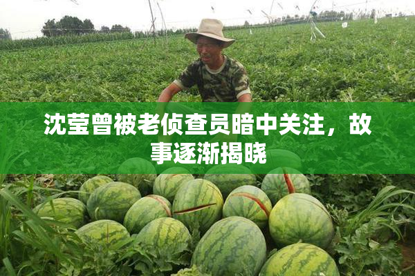 沈莹曾被老侦查员暗中关注，故事逐渐揭晓