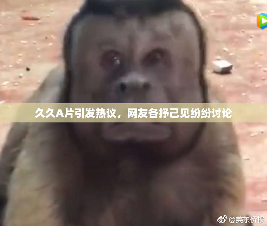 久久A片引发热议，网友各抒己见纷纷讨论