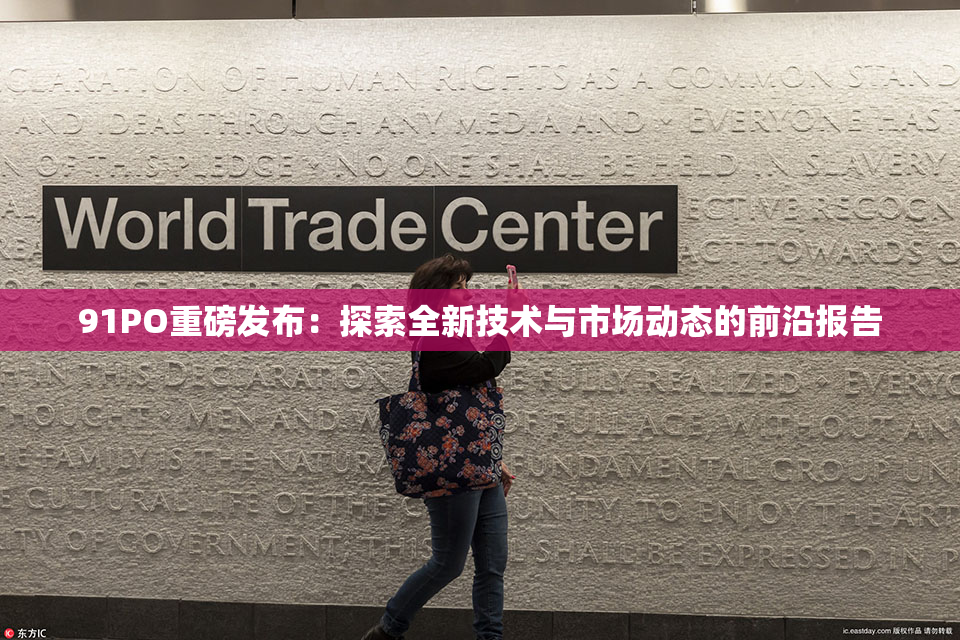 91PO重磅发布：探索全新技术与市场动态的前沿报告