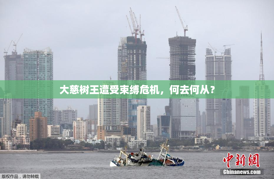 大慈树王遭受束缚危机，何去何从？
