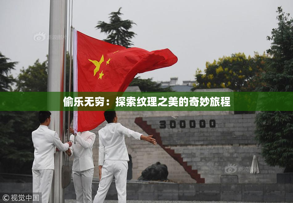 偷乐无穷：探索纹理之美的奇妙旅程