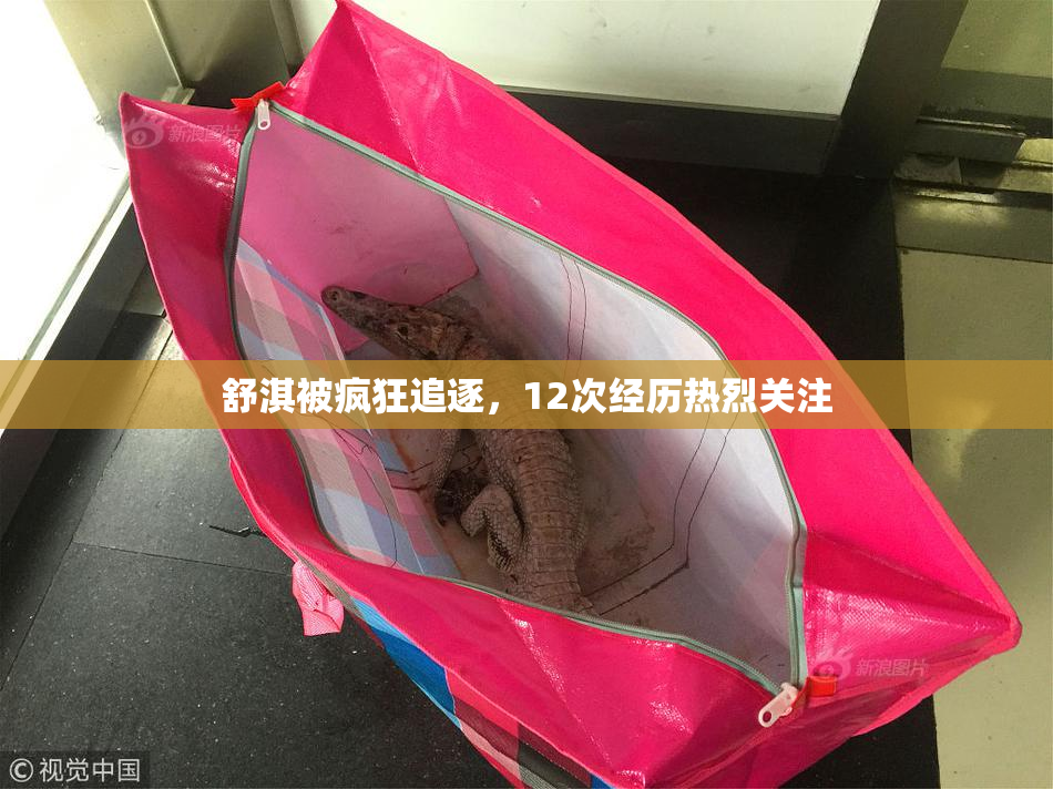 舒淇被疯狂追逐，12次经历热烈关注