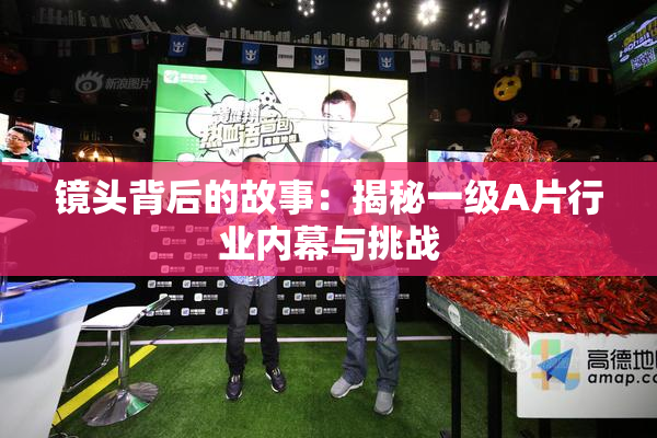 镜头背后的故事：揭秘一级A片行业内幕与挑战