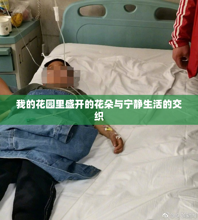我的花园里盛开的花朵与宁静生活的交织