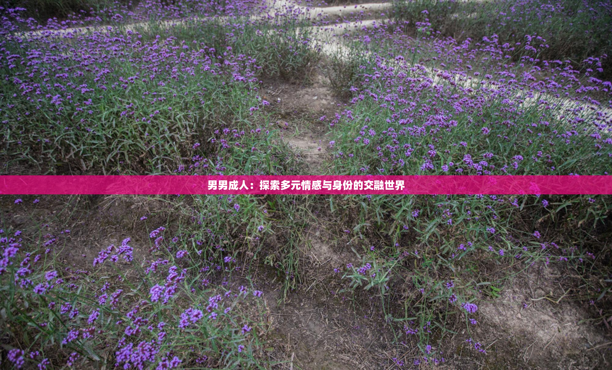 男男成人：探索多元情感与身份的交融世界