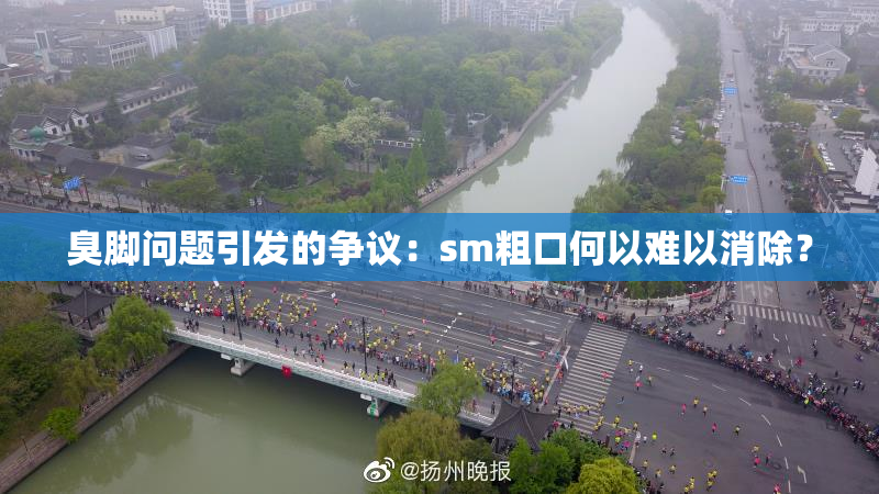 臭脚问题引发的争议：sm粗口何以难以消除？