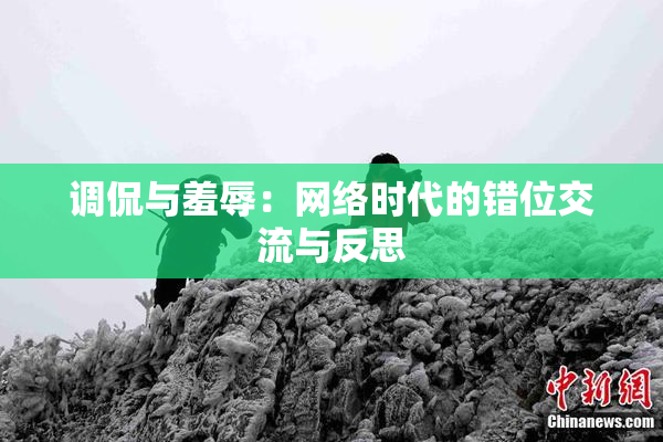 调侃与羞辱：网络时代的错位交流与反思