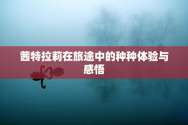 茜特拉莉在旅途中的种种体验与感悟