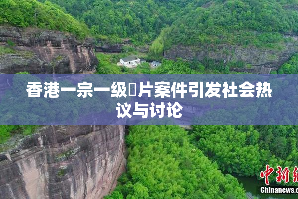 香港一宗一级婬片案件引发社会热议与讨论