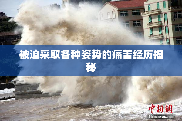被迫采取各种姿势的痛苦经历揭秘