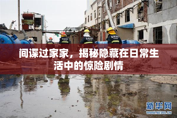 间谍过家家，揭秘隐藏在日常生活中的惊险剧情