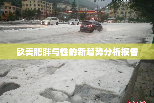 欧美肥胖与性的新趋势分析报告