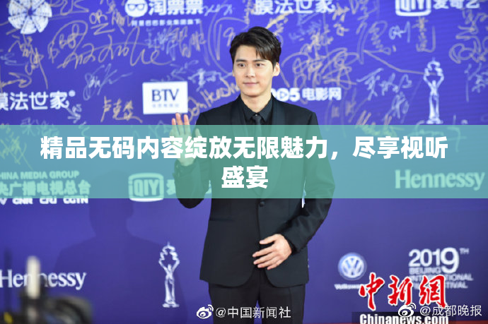 精品无码内容绽放无限魅力，尽享视听盛宴