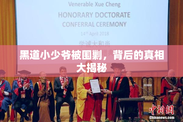 黑道小少爷被围剿，背后的真相大揭秘